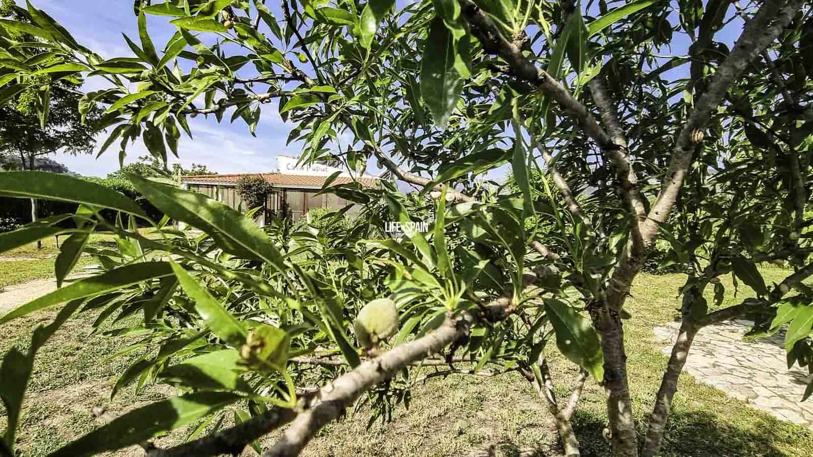 1 soveværelse Finca/Landehus til salg i Xerta - € 138.998 (Ref: 9004242)