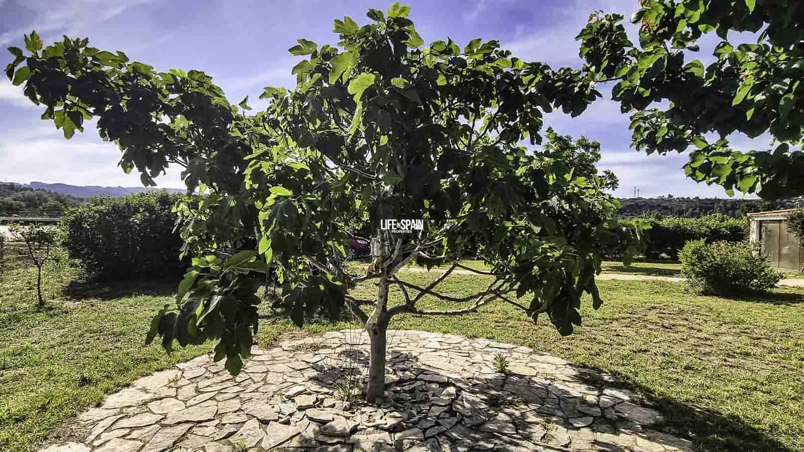 1 soveværelse Finca/Landehus til salg i Xerta - € 138.998 (Ref: 9004242)