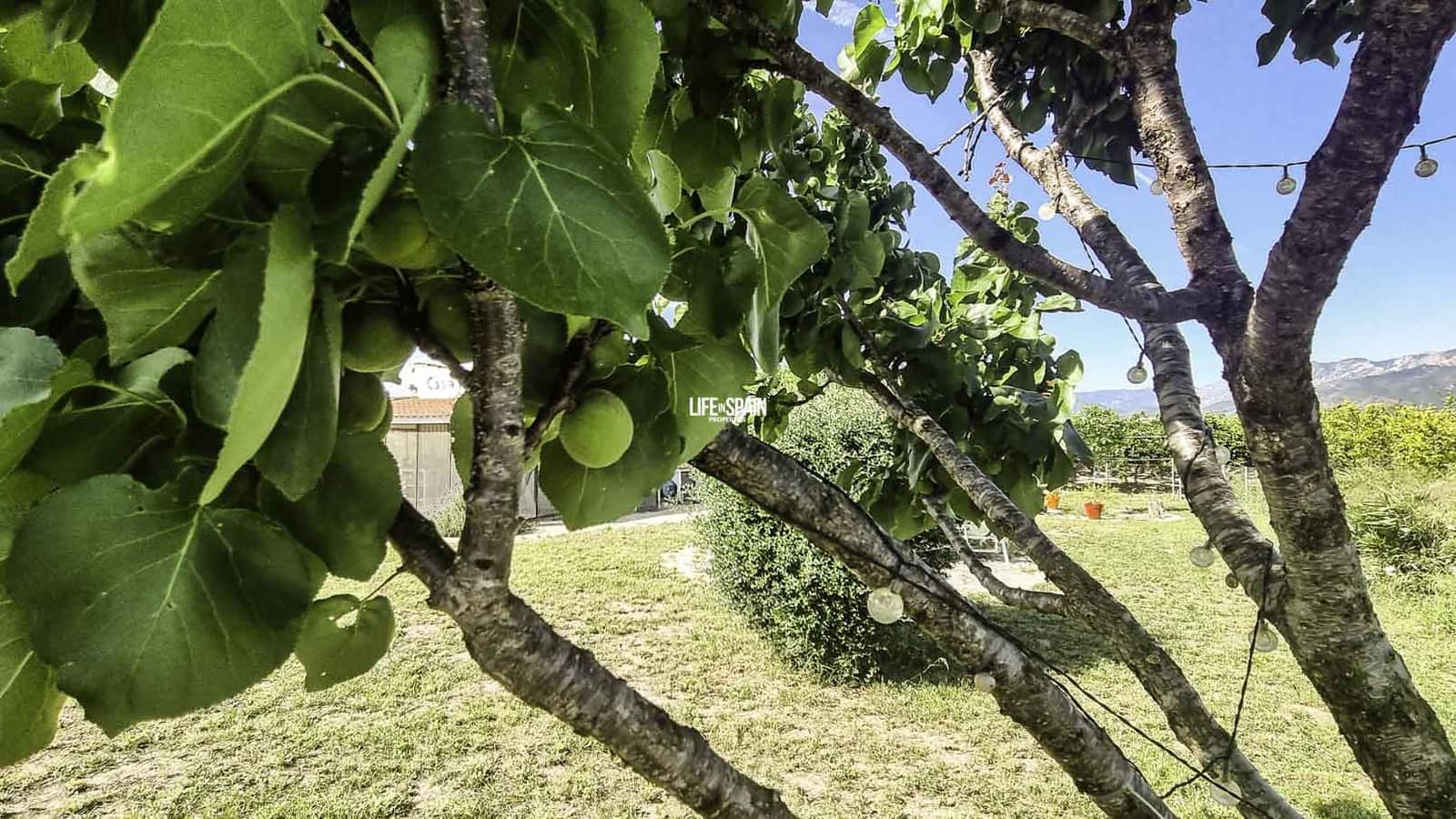 1 soveværelse Finca/Landehus til salg i Xerta - € 138.998 (Ref: 9004242)