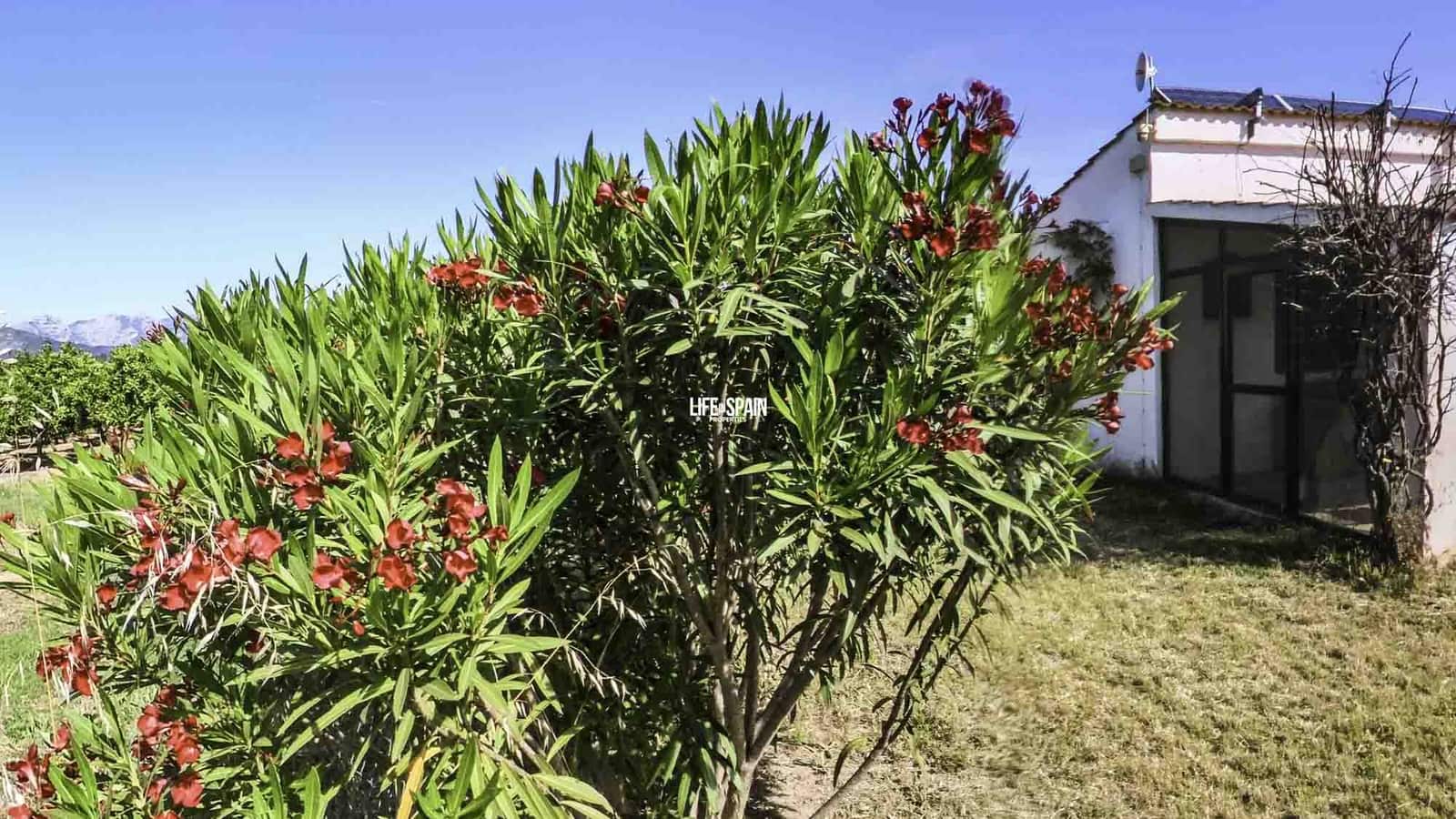 1 soveværelse Finca/Landehus til salg i Xerta - € 138.998 (Ref: 9004242)