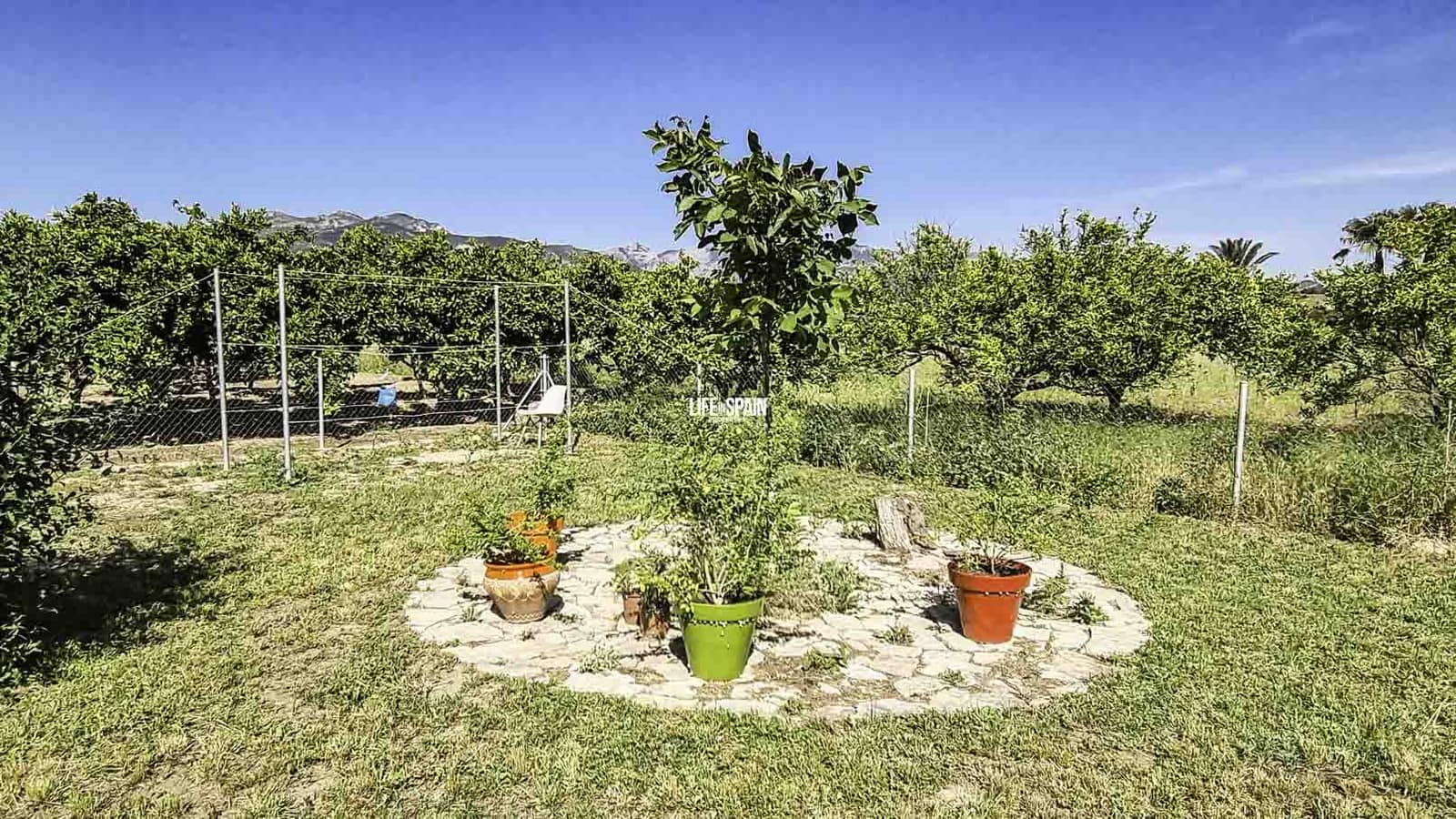 1 soveværelse Finca/Landehus til salg i Xerta - € 138.998 (Ref: 9004242)