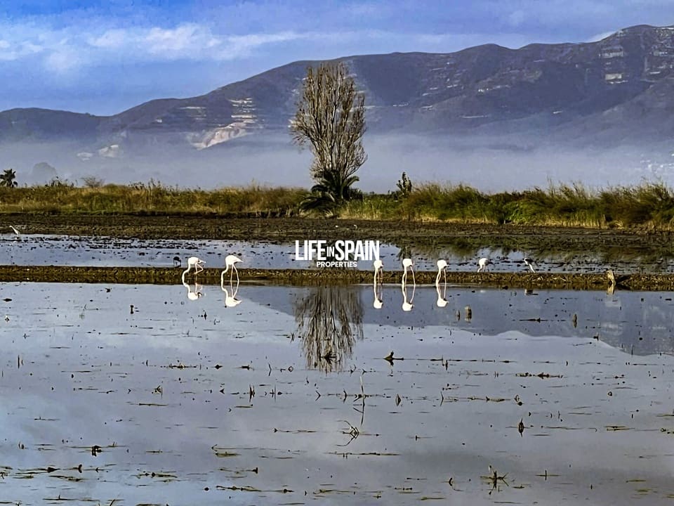 2 Zimmer Finca/Landgut zu verkaufen in Deltebre mit Garage - 395.000 € (Ref: 9118139)