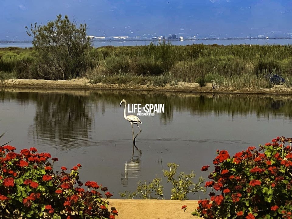 2 Zimmer Finca/Landgut zu verkaufen in Deltebre mit Garage - 395.000 € (Ref: 9118139)