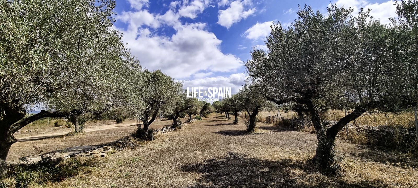 1 soverom Finca/Herregård til salgs i Ginestar med garasje - € 150 000 (Ref: 9121504)