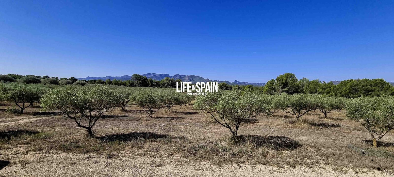 Finca/Herregård til salgs i Ginestar - € 120 000 (Ref: 9149701)