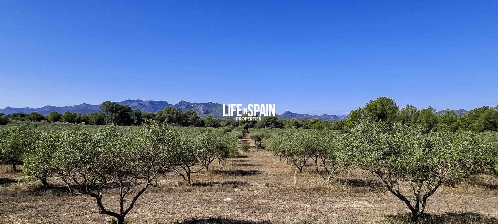 Finca/Herregård til salgs i Ginestar - € 120 000 (Ref: 9149701)