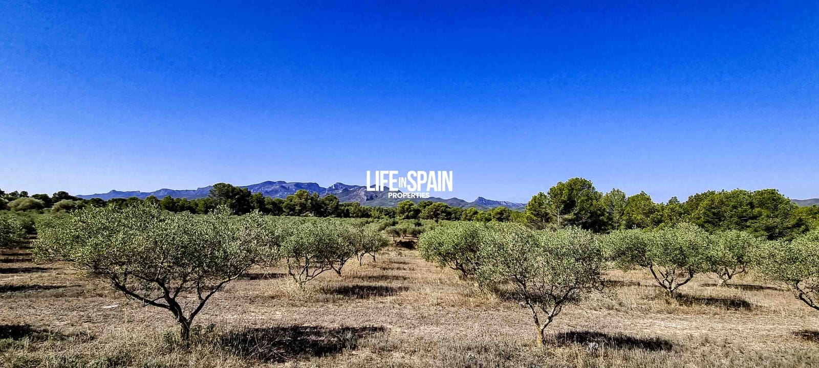 Finca/Herregård til salgs i Ginestar - € 120 000 (Ref: 9149701)