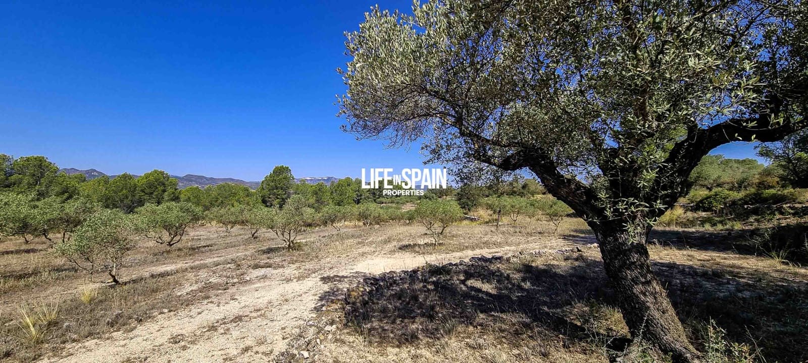 Finca/Herregård til salgs i Ginestar - € 120 000 (Ref: 9149701)