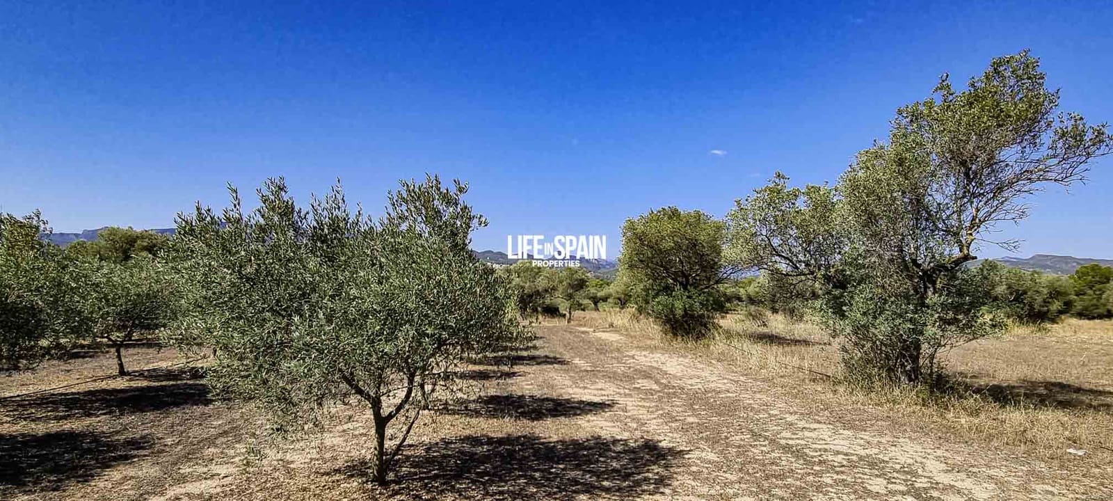 1 bedroom Finca/Country House for sale in Ginestar - € 50,000 (Ref: 9153453)