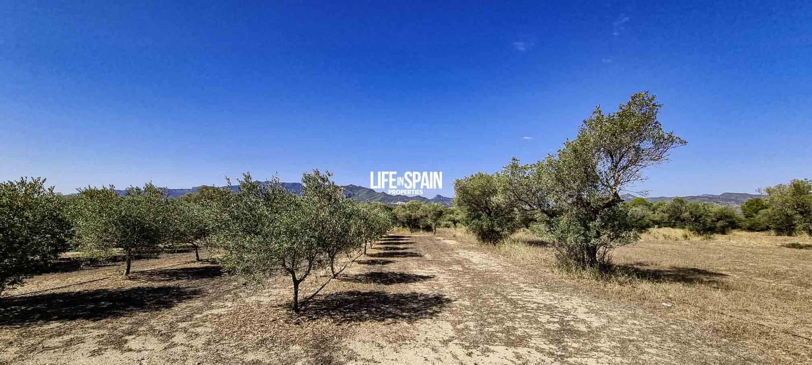 1 bedroom Finca/Country House for sale in Ginestar - € 50,000 (Ref: 9153453)