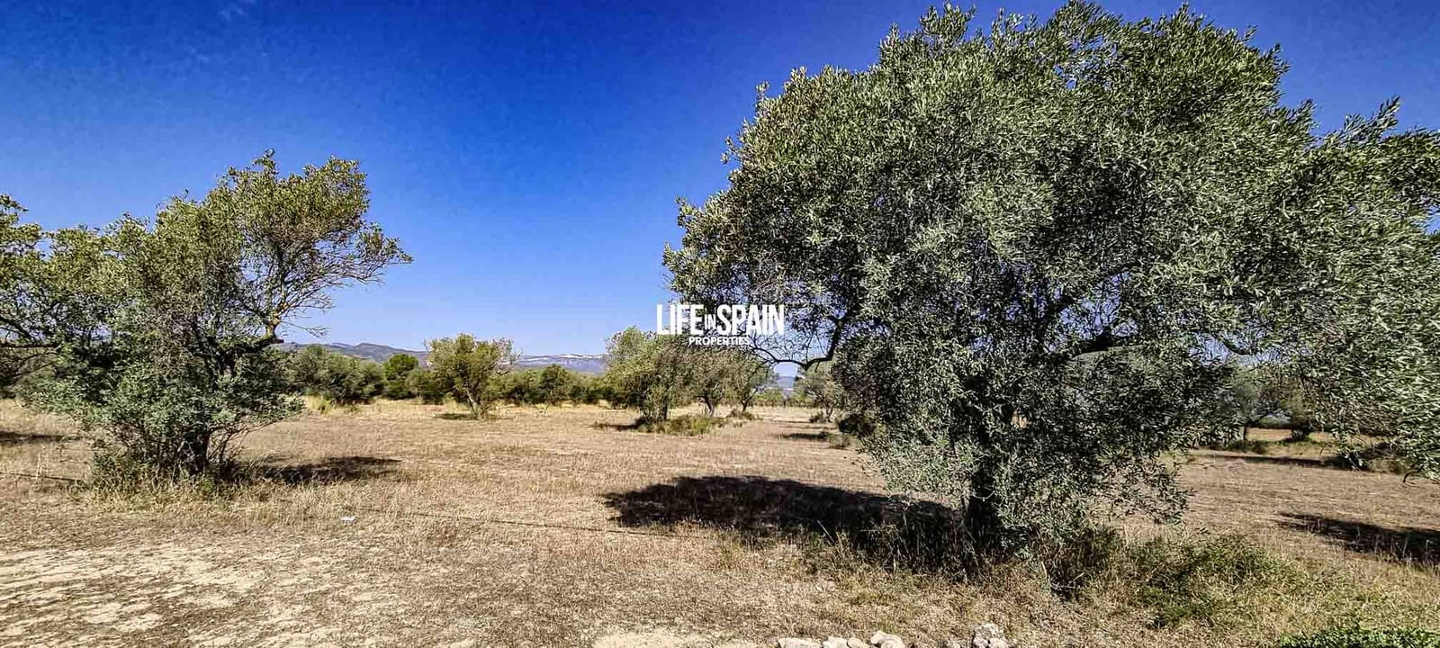 1 bedroom Finca/Country House for sale in Ginestar - € 50,000 (Ref: 9153453)