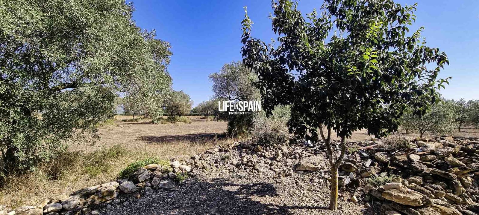 1 bedroom Finca/Country House for sale in Ginestar - € 50,000 (Ref: 9153453)