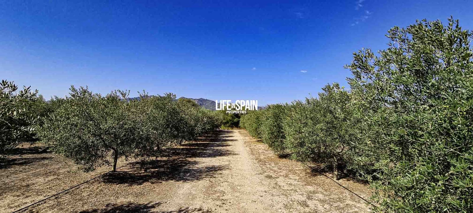 1 bedroom Finca/Country House for sale in Ginestar - € 50,000 (Ref: 9153453)