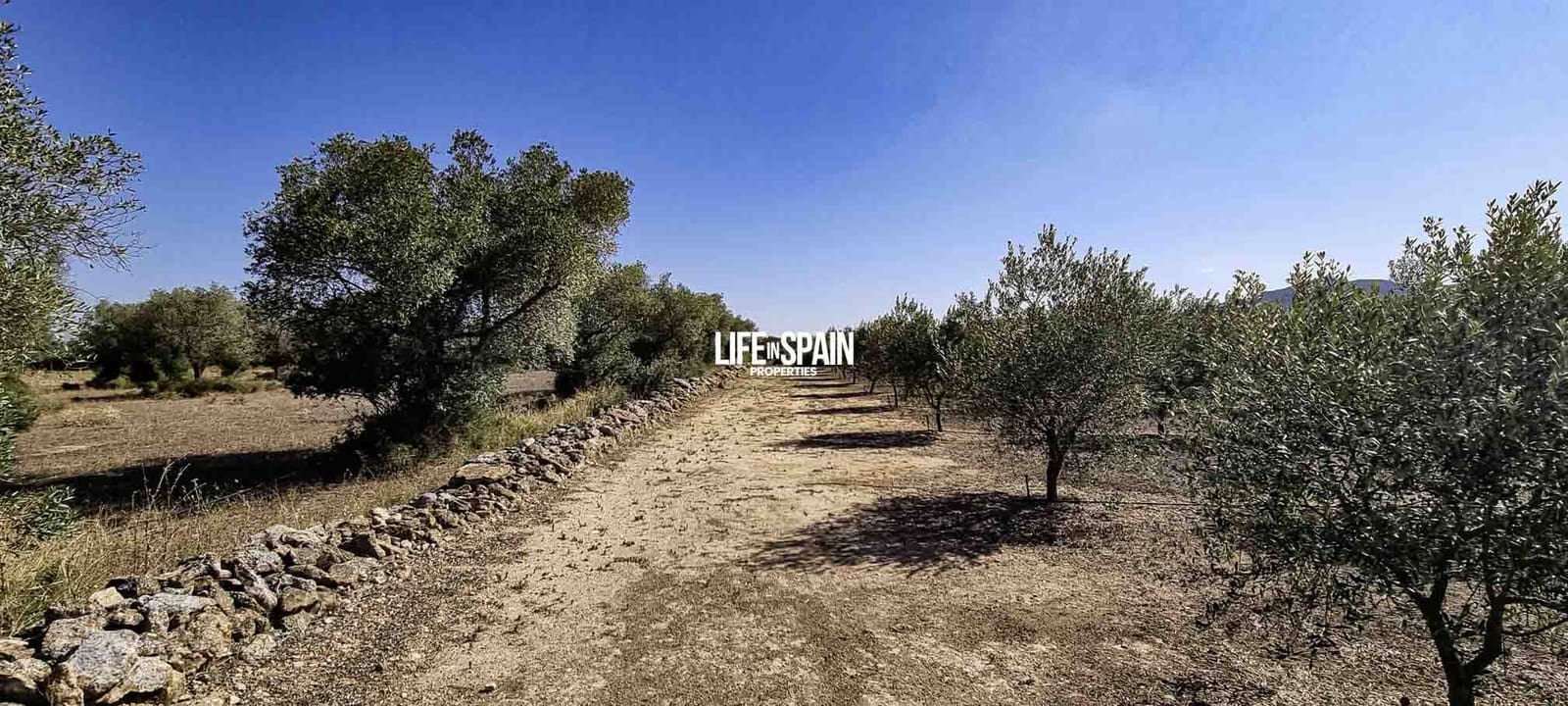 1 bedroom Finca/Country House for sale in Ginestar - € 50,000 (Ref: 9153453)