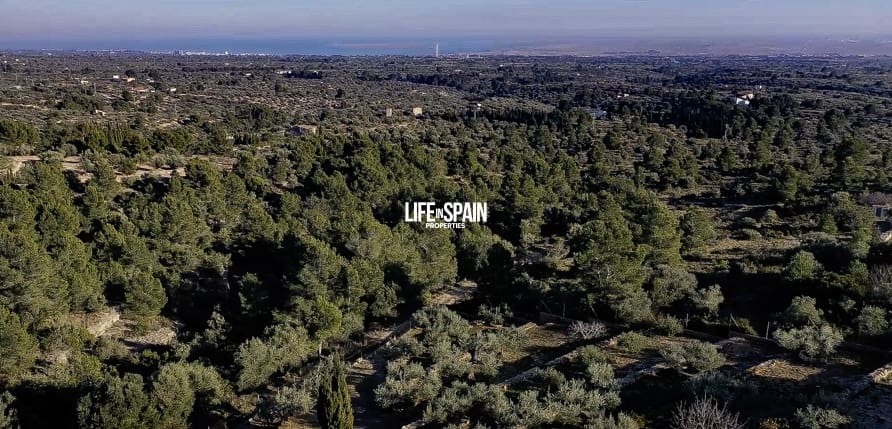 5 soveværelse Villa til salg i Tortosa med swimmingpool garage - € 715.000 (Ref: 9160604)