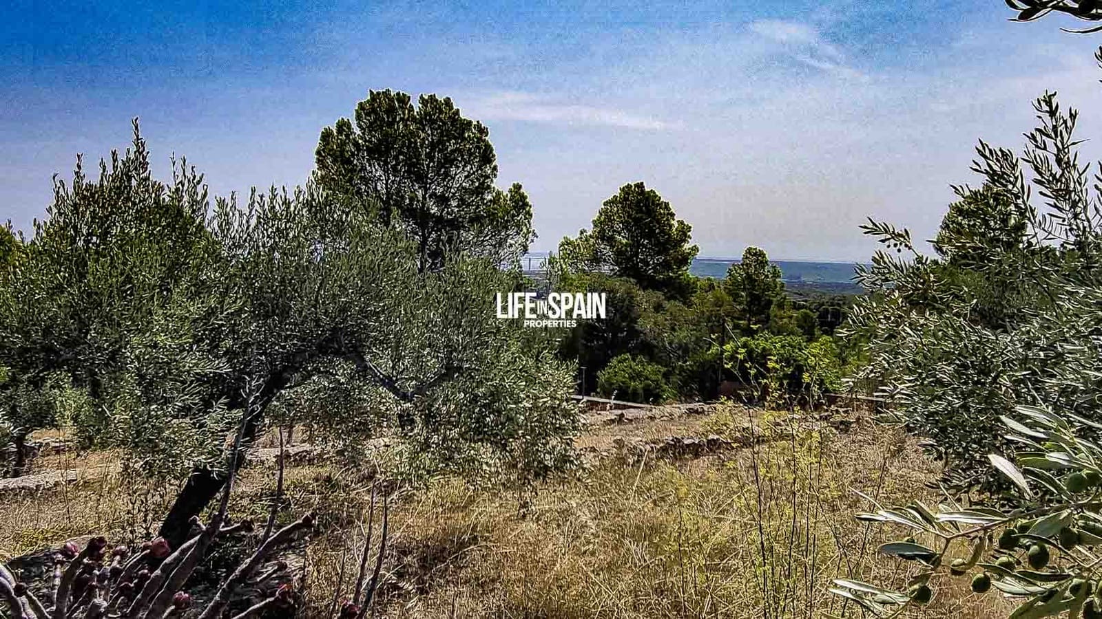 5 soveværelse Villa til salg i Tortosa med swimmingpool garage - € 715.000 (Ref: 9160604)