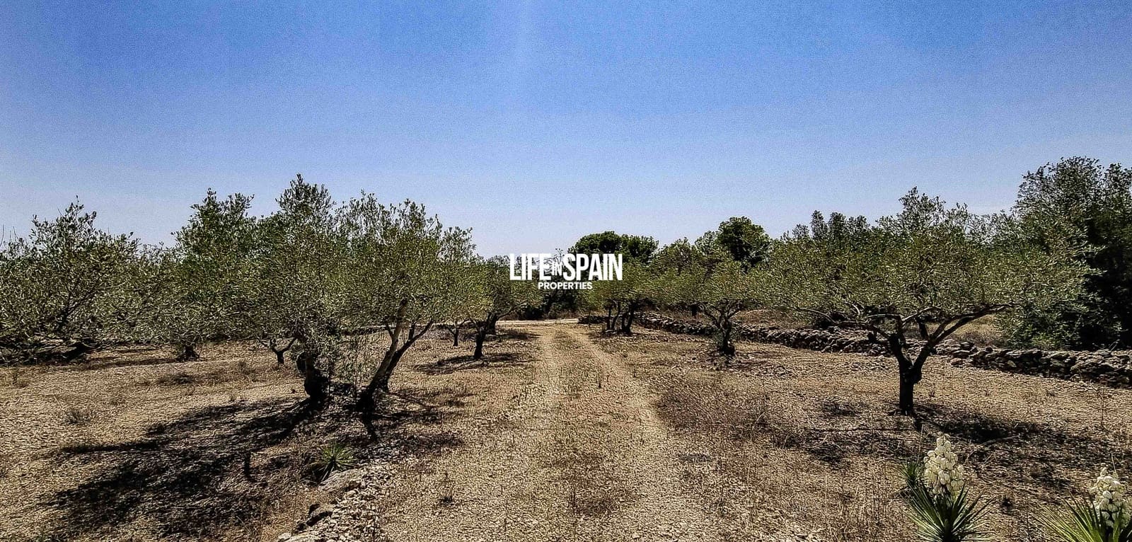 2 soveværelse Finca/Landehus til salg i Tortosa - € 49.900 (Ref: 9168999)