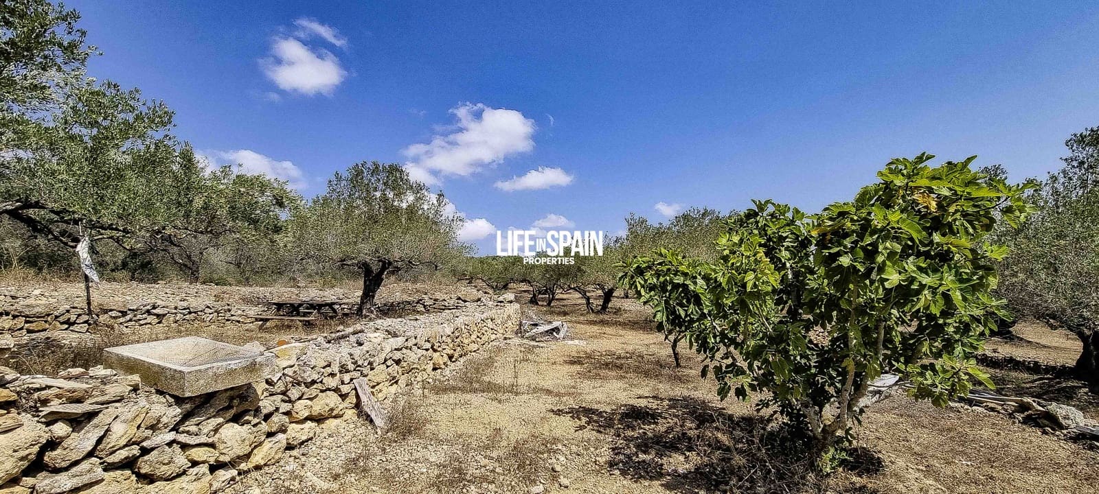 2 soveværelse Finca/Landehus til salg i Tortosa - € 49.900 (Ref: 9168999)
