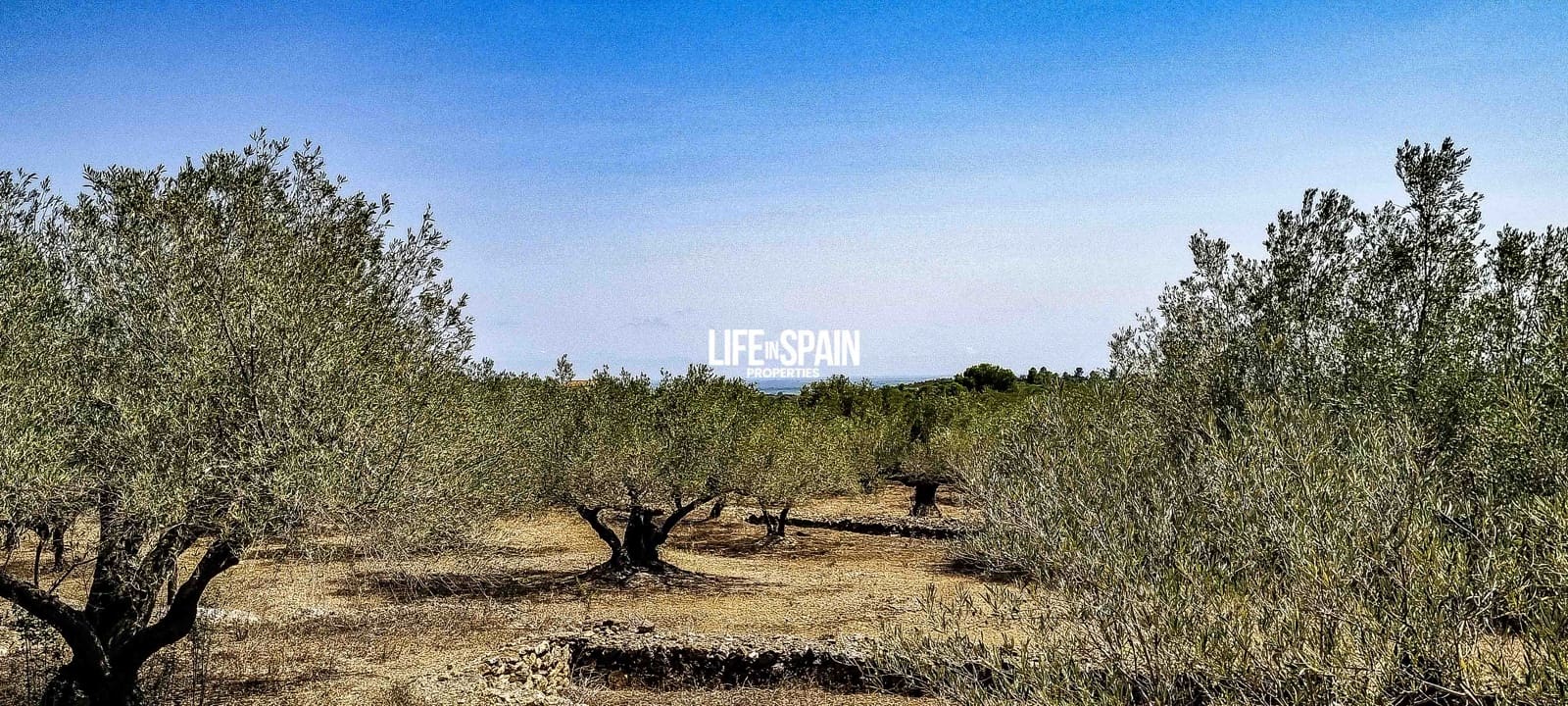 2 soveværelse Finca/Landehus til salg i Tortosa - € 49.900 (Ref: 9168999)