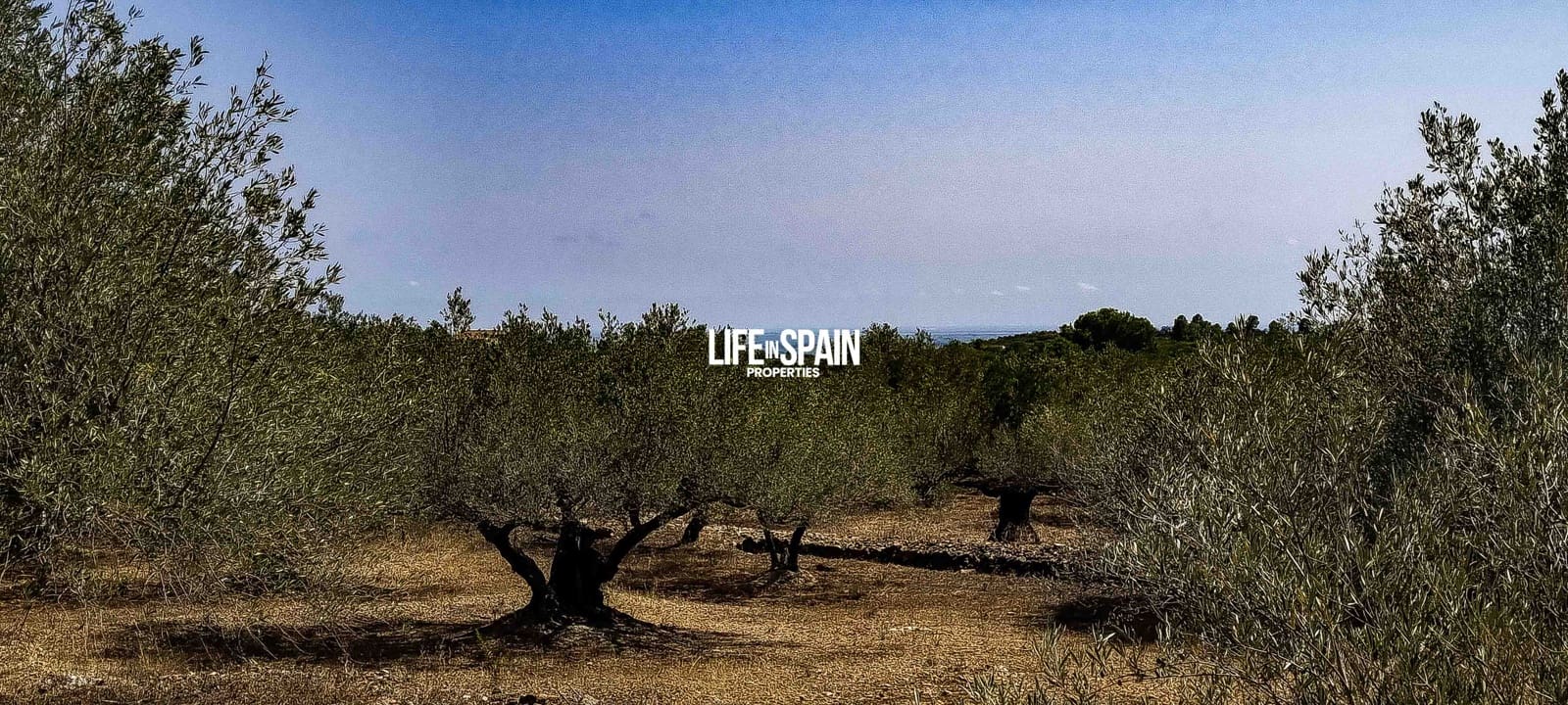 2 soveværelse Finca/Landehus til salg i Tortosa - € 49.900 (Ref: 9168999)