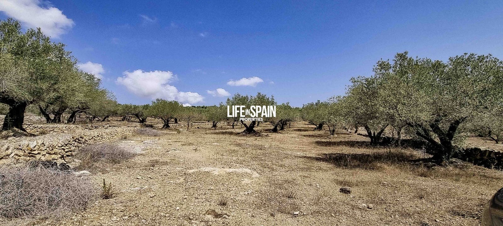 2 soveværelse Finca/Landehus til salg i Tortosa - € 49.900 (Ref: 9168999)