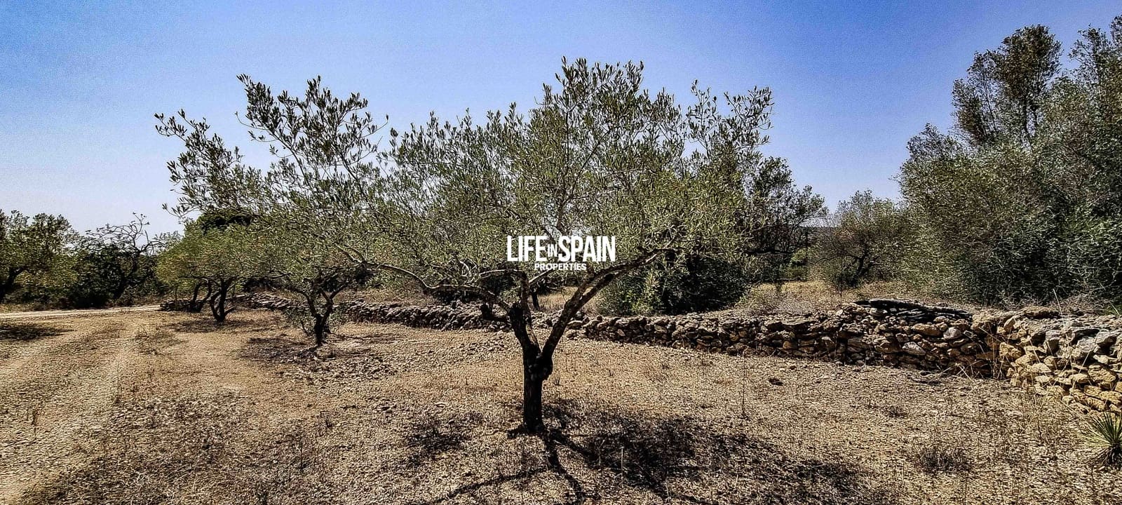 2 soveværelse Finca/Landehus til salg i Tortosa - € 49.900 (Ref: 9168999)