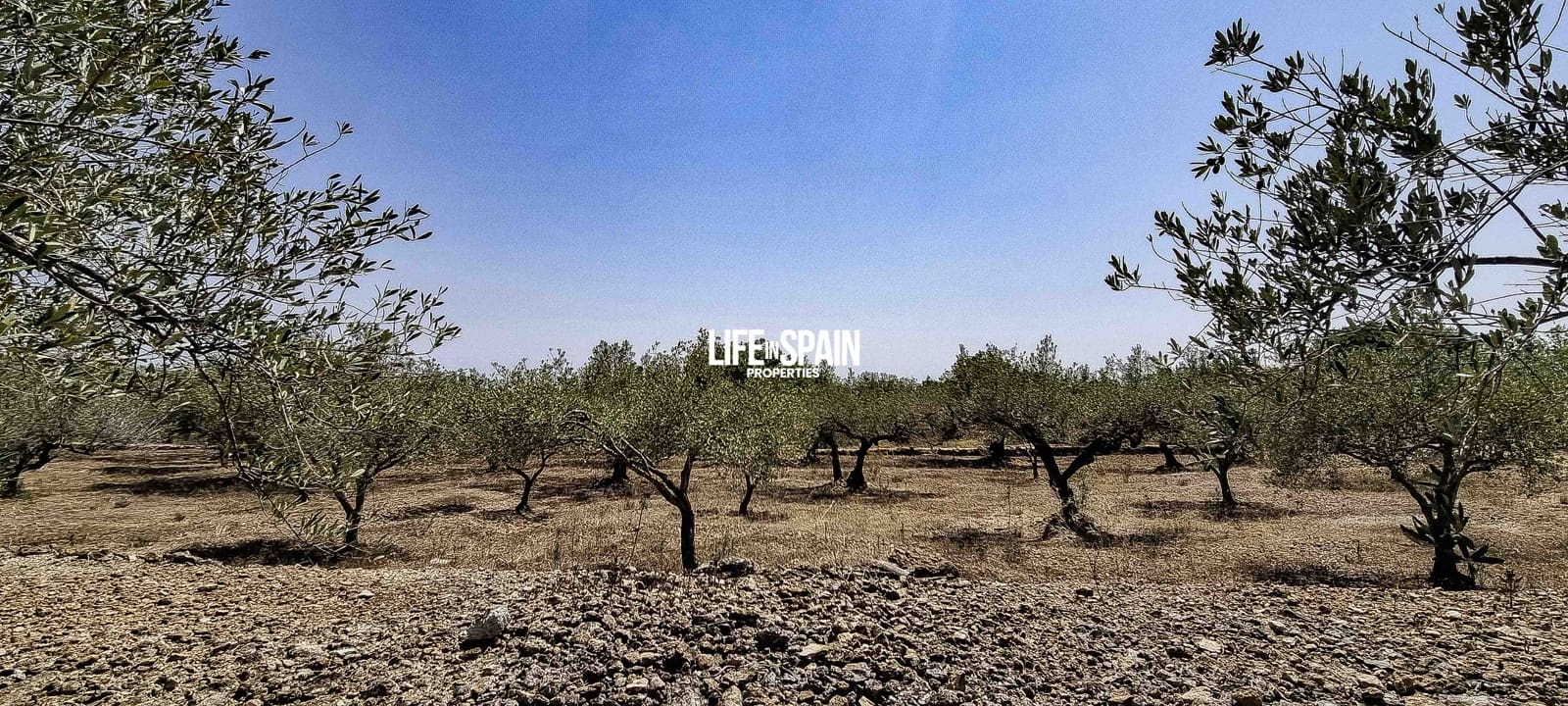 2 soveværelse Finca/Landehus til salg i Tortosa - € 49.900 (Ref: 9168999)