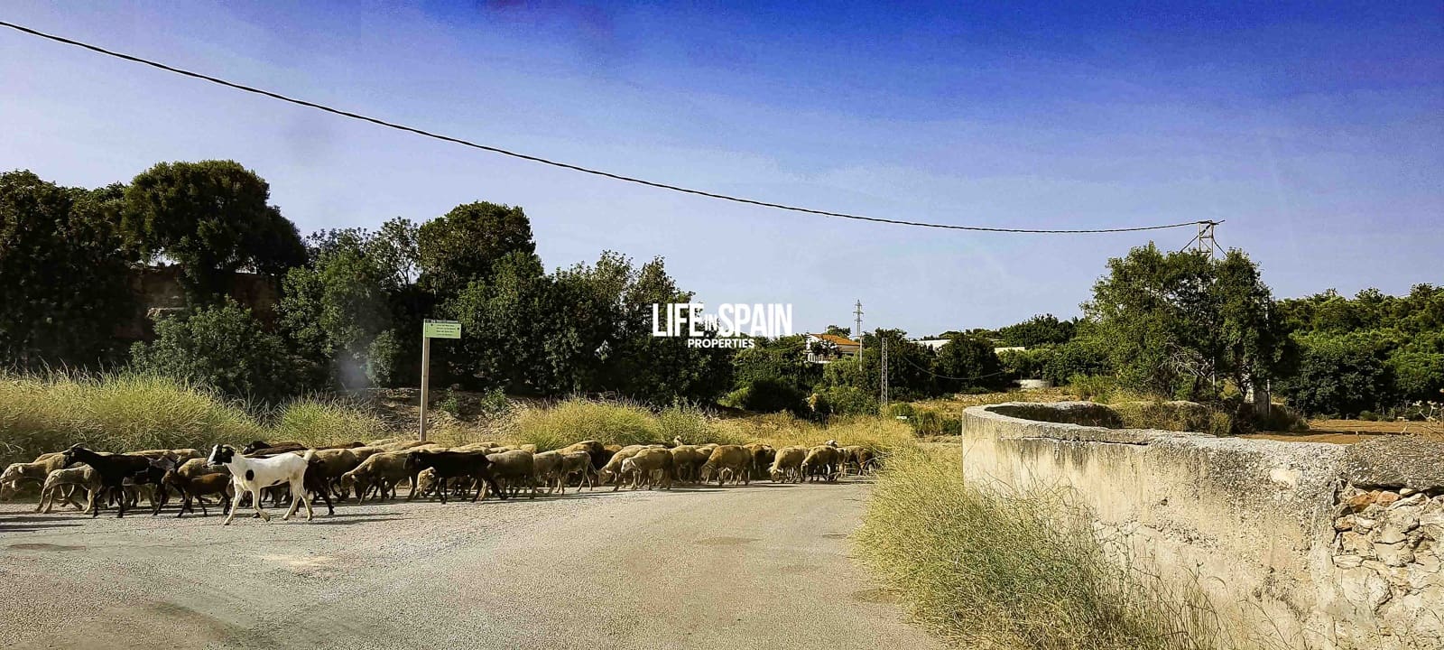 4 camera da letto Finca/Casa di Campagna in vendita in Masdenverge con piscina garage - 295.000 € (Rif: 9181481)