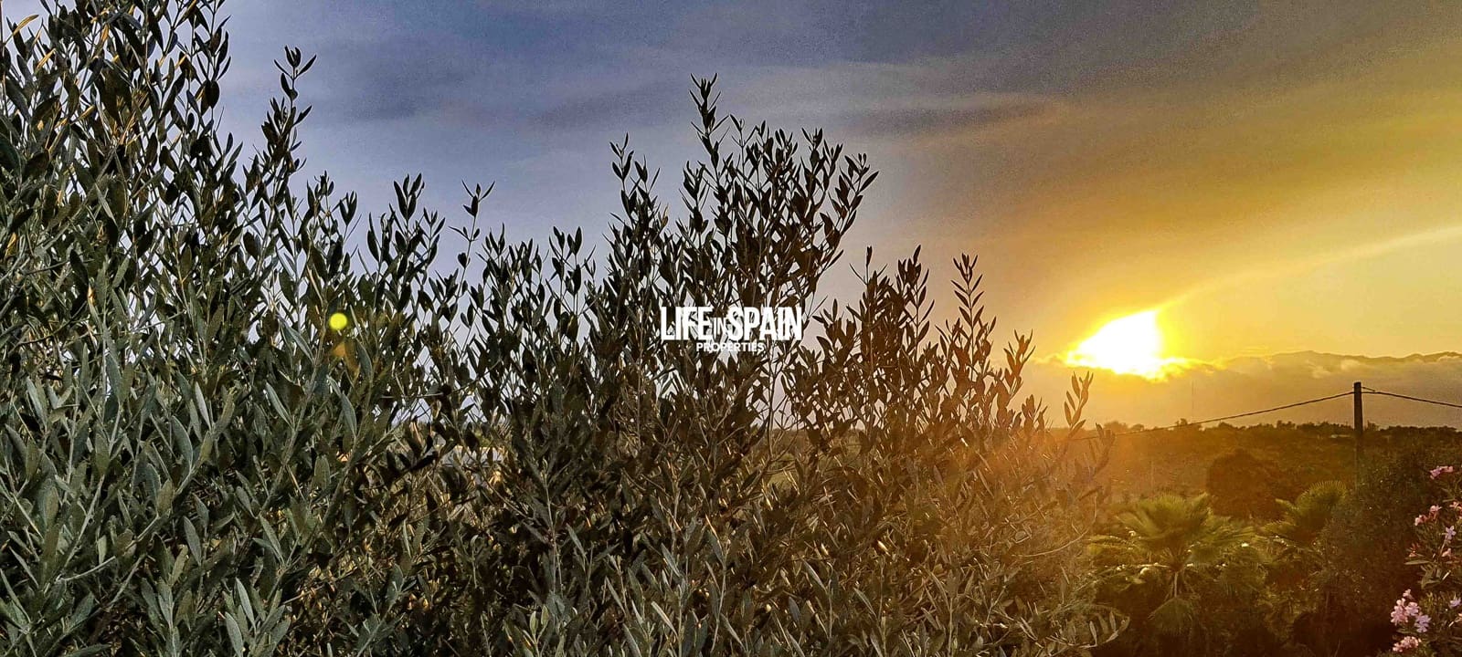 4 camera da letto Finca/Casa di Campagna in vendita in Masdenverge con piscina garage - 295.000 € (Rif: 9181481)