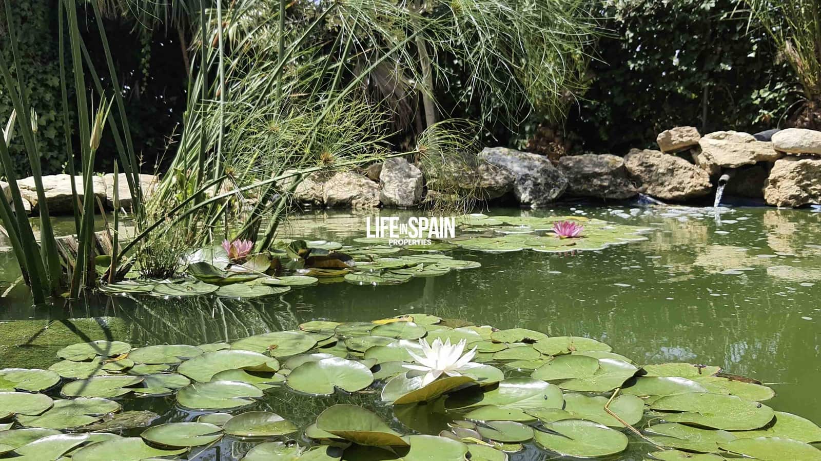 4 camera da letto Finca/Casa di Campagna in vendita in Masdenverge con piscina garage - 295.000 € (Rif: 9181481)