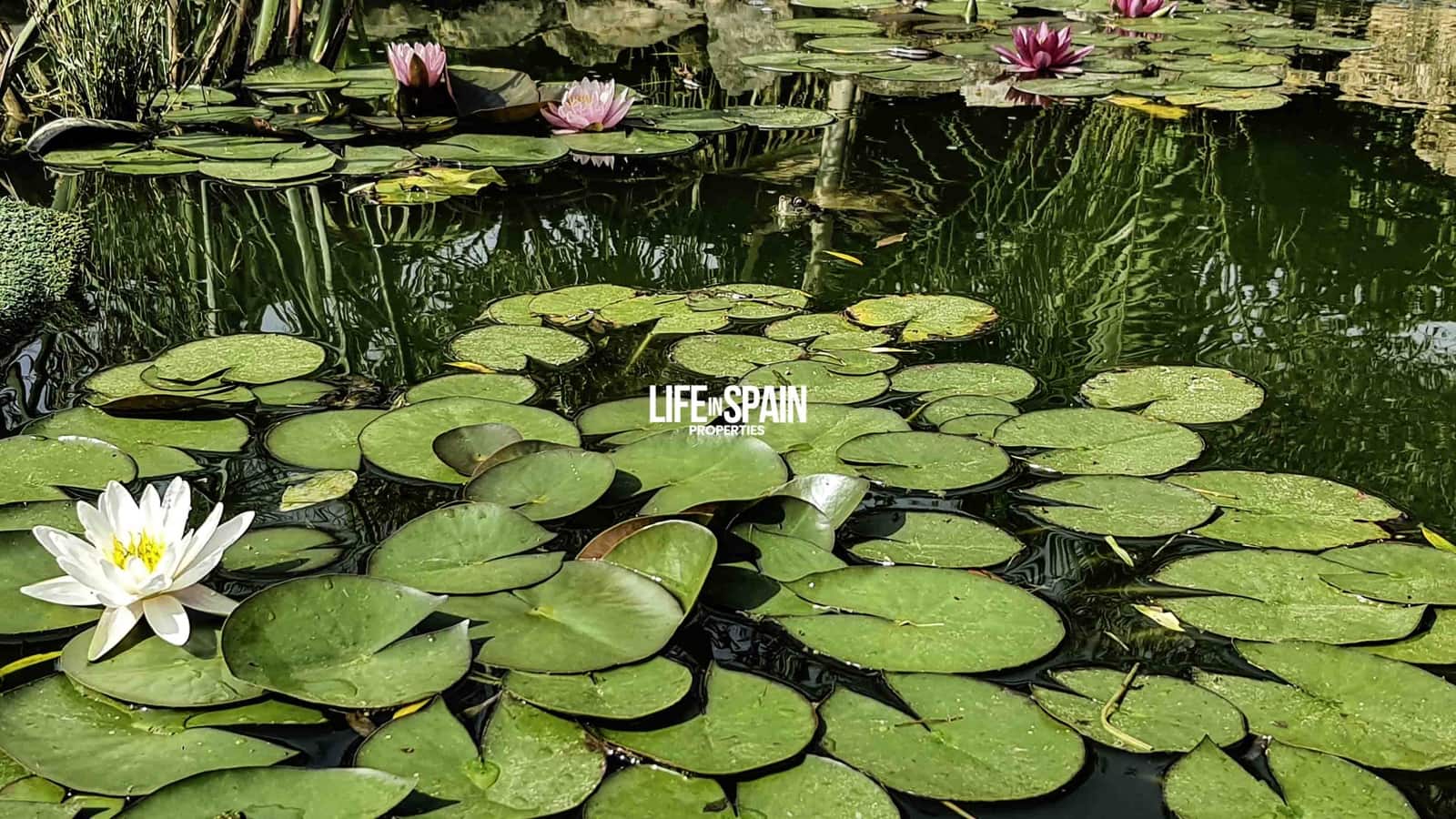 4 camera da letto Finca/Casa di Campagna in vendita in Masdenverge con piscina garage - 295.000 € (Rif: 9181481)