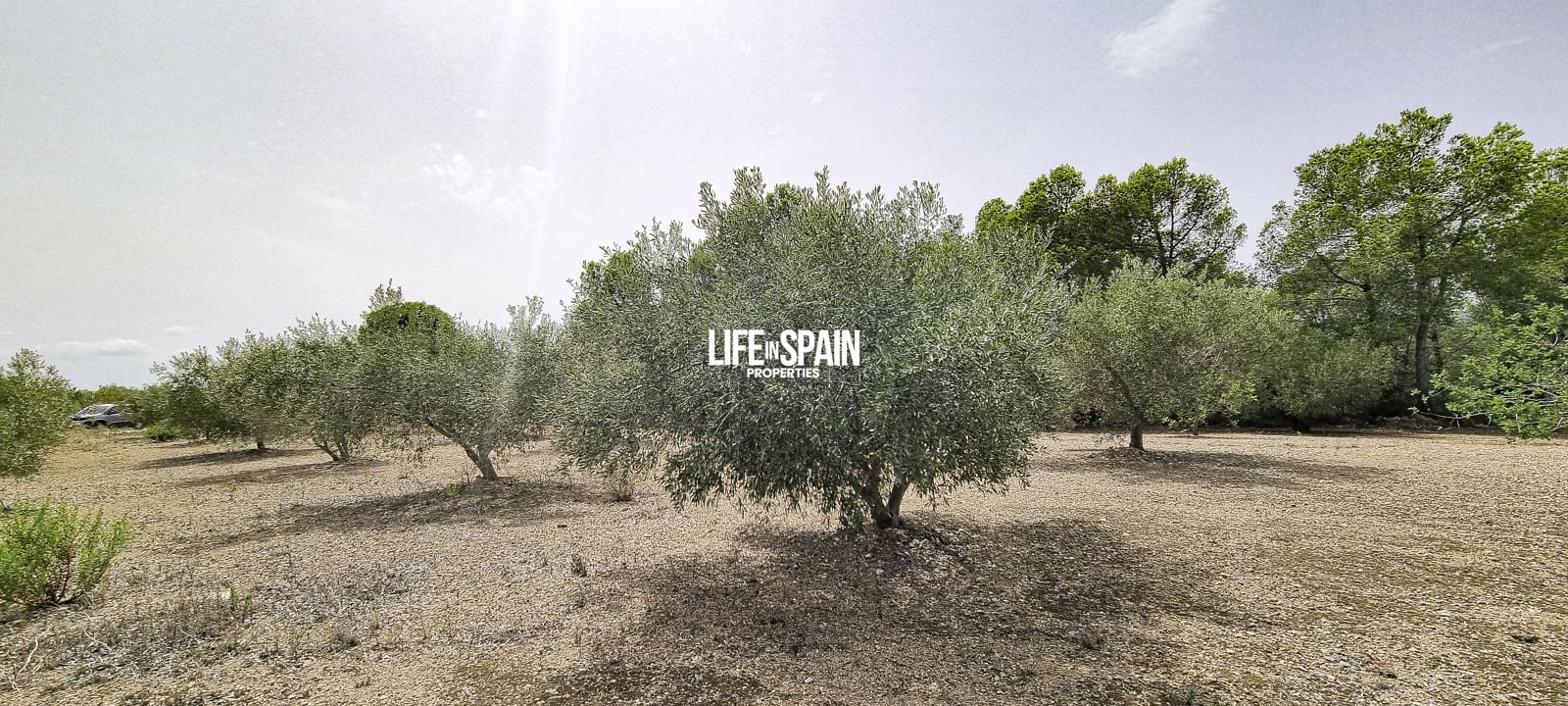 Finca/Landehus til salg i L'Ampolla - € 65.000 (Ref: 9197332)