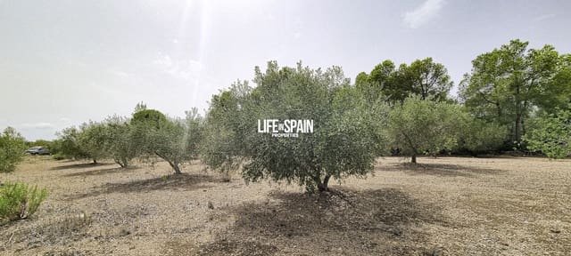 Finca/Country House for sale in L'Ampolla - € 65,000 (Ref: 9197332)