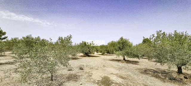 Finca/Country House for sale in L'Ampolla - € 65,000 (Ref: 9197332)