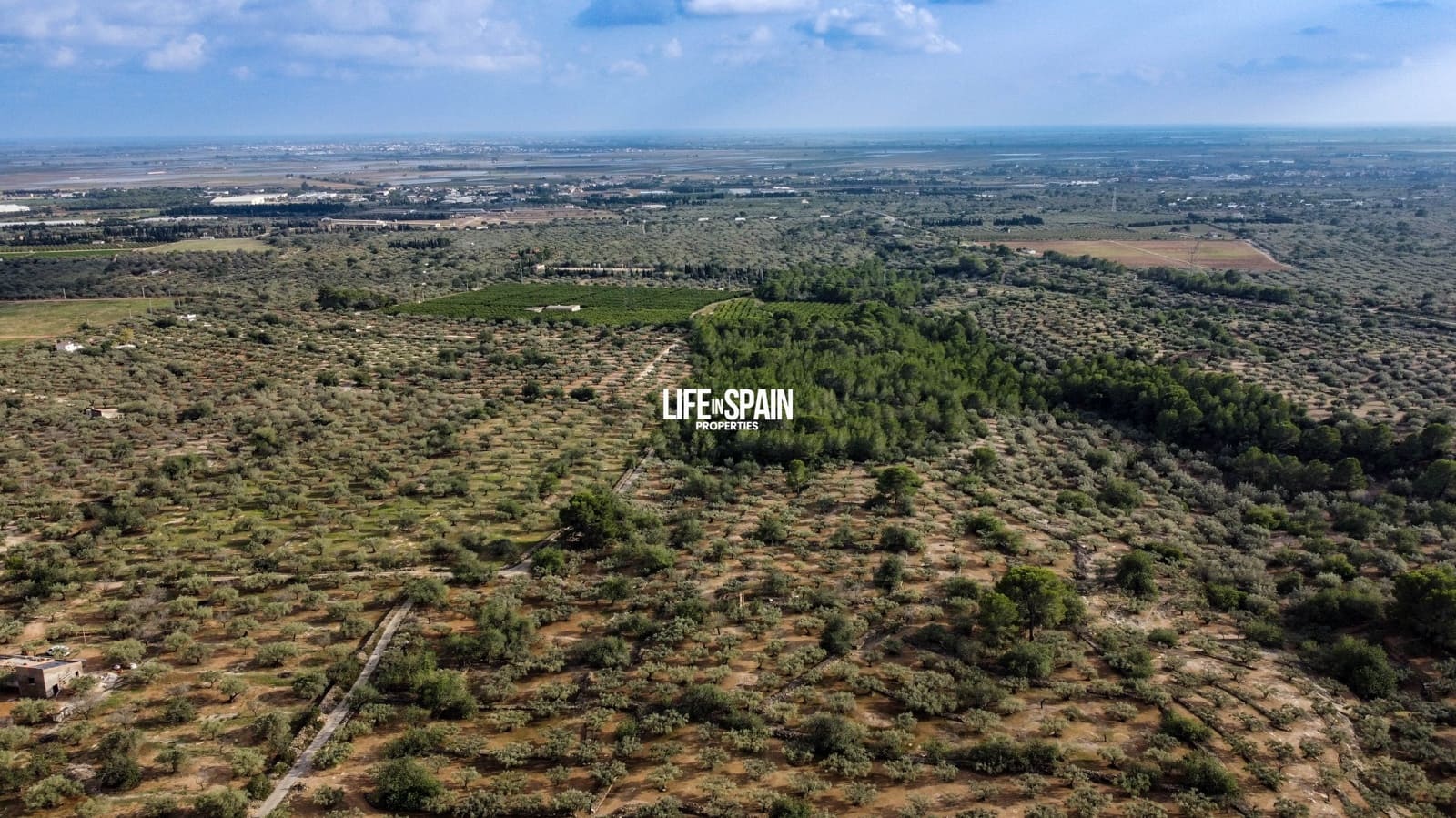 3 bedroom Finca/Country House for sale in L'Aldea - € 199,000 (Ref: 9319993)