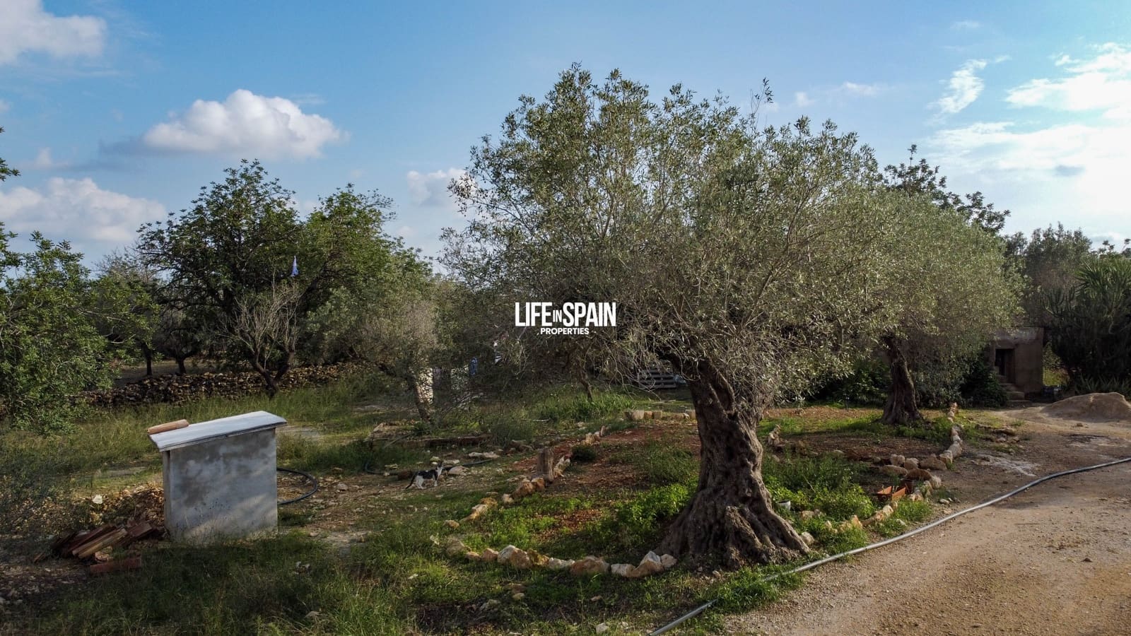 3 bedroom Finca/Country House for sale in L'Aldea - € 199,000 (Ref: 9319993)