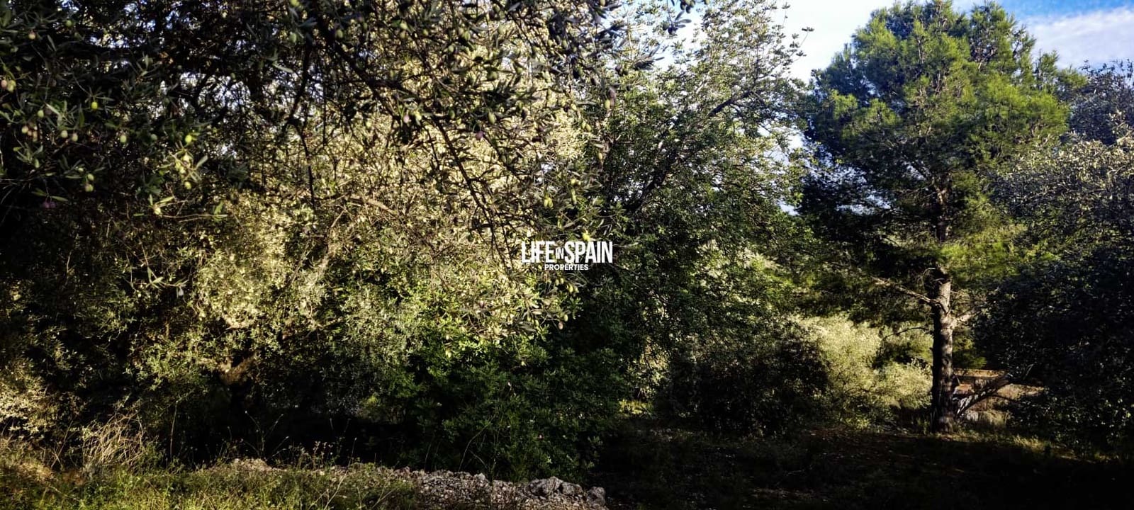 Finca/Landehus til salg i Roquetes - € 36.000 (Ref: 9348780)