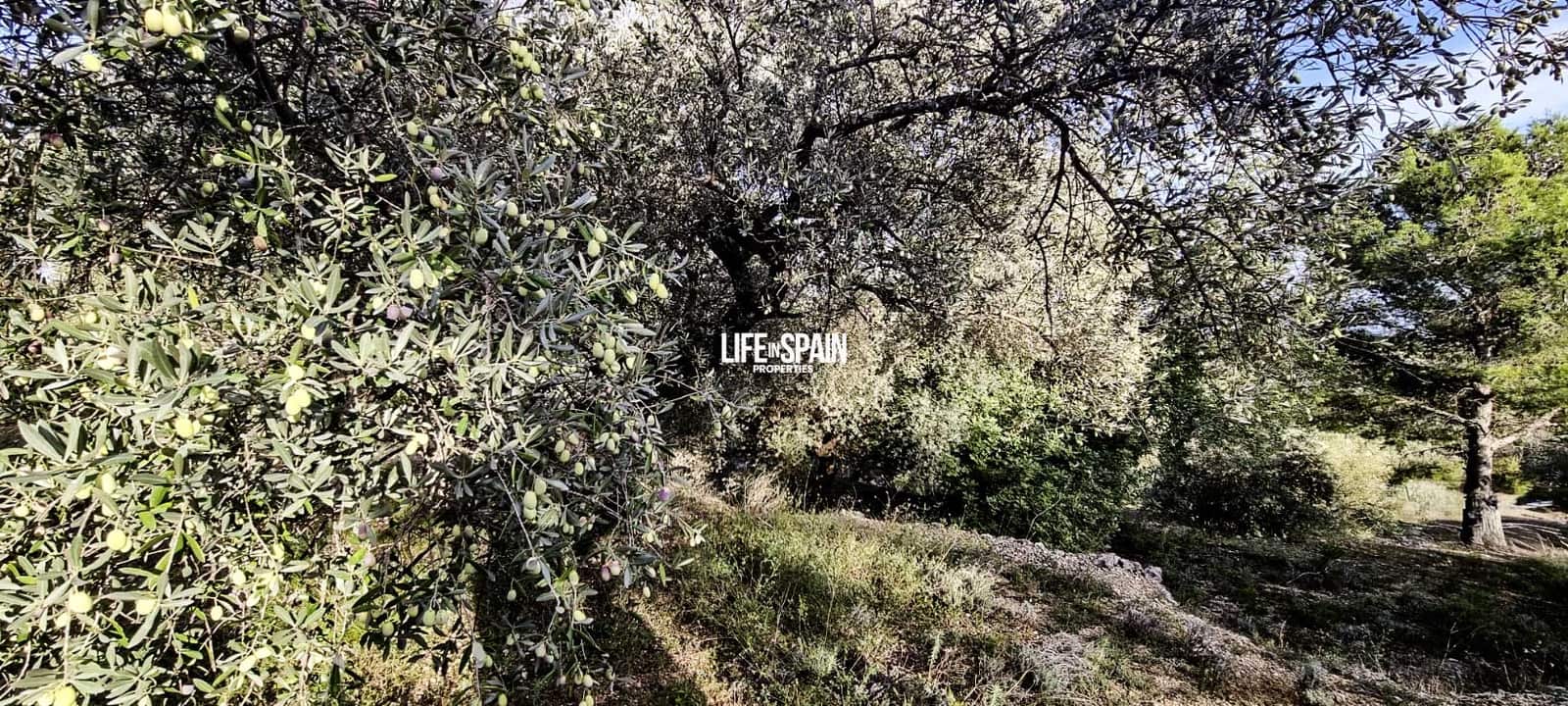 Finca/Landehus til salg i Roquetes - € 36.000 (Ref: 9348780)