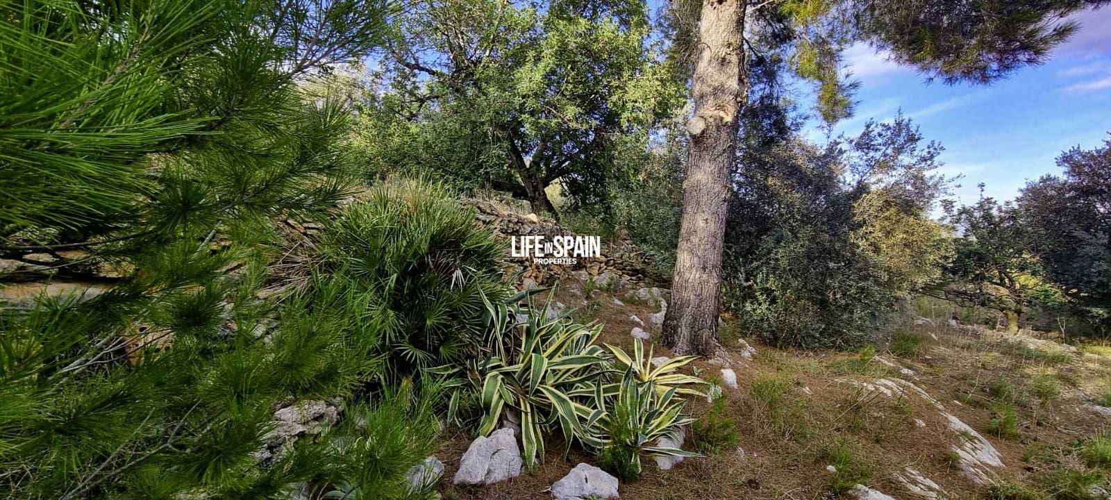 Finca/Landehus til salg i Roquetes - € 36.000 (Ref: 9348780)