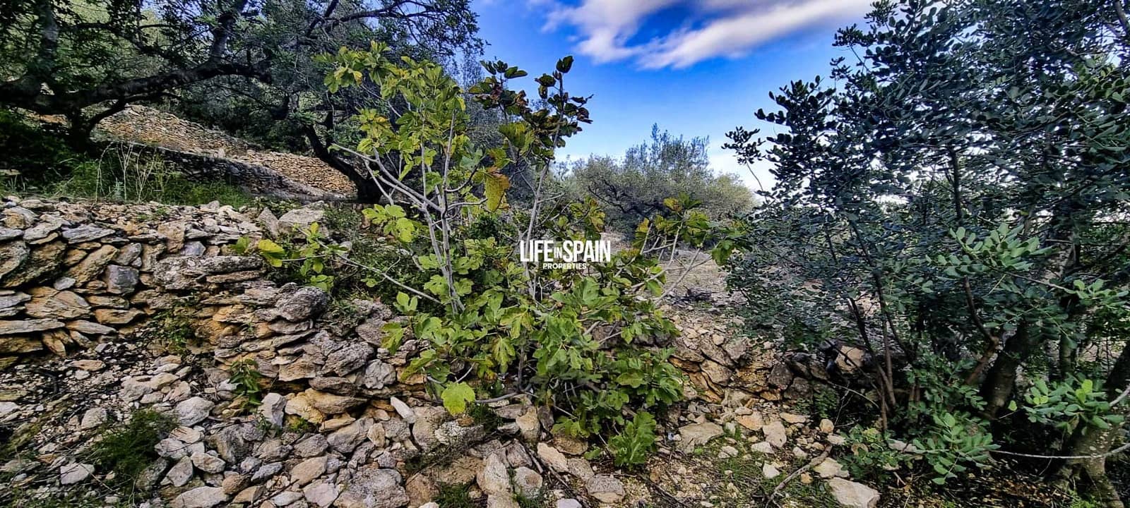 Finca/Landehus til salg i Roquetes - € 36.000 (Ref: 9348780)