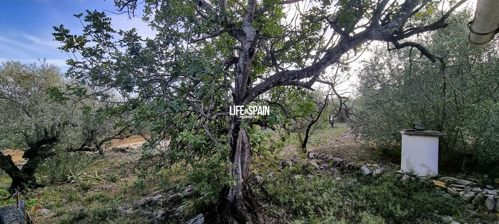 Finca/Landehus til salg i Roquetes - € 36.000 (Ref: 9348780)