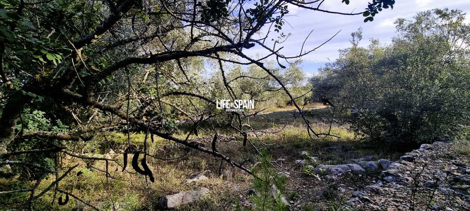 Finca/Landehus til salg i Roquetes - € 36.000 (Ref: 9348780)