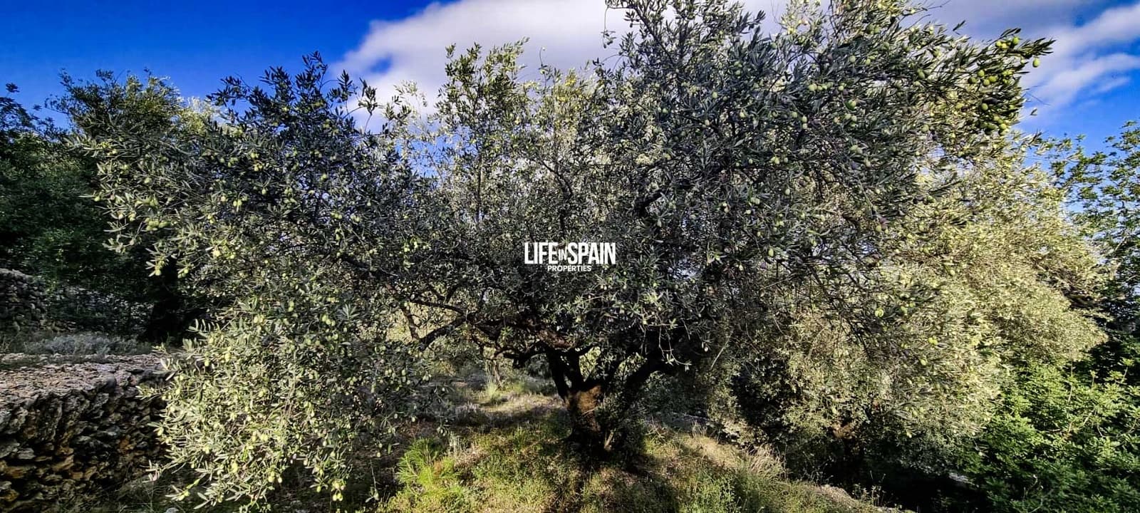 Finca/Landehus til salg i Roquetes - € 36.000 (Ref: 9348780)