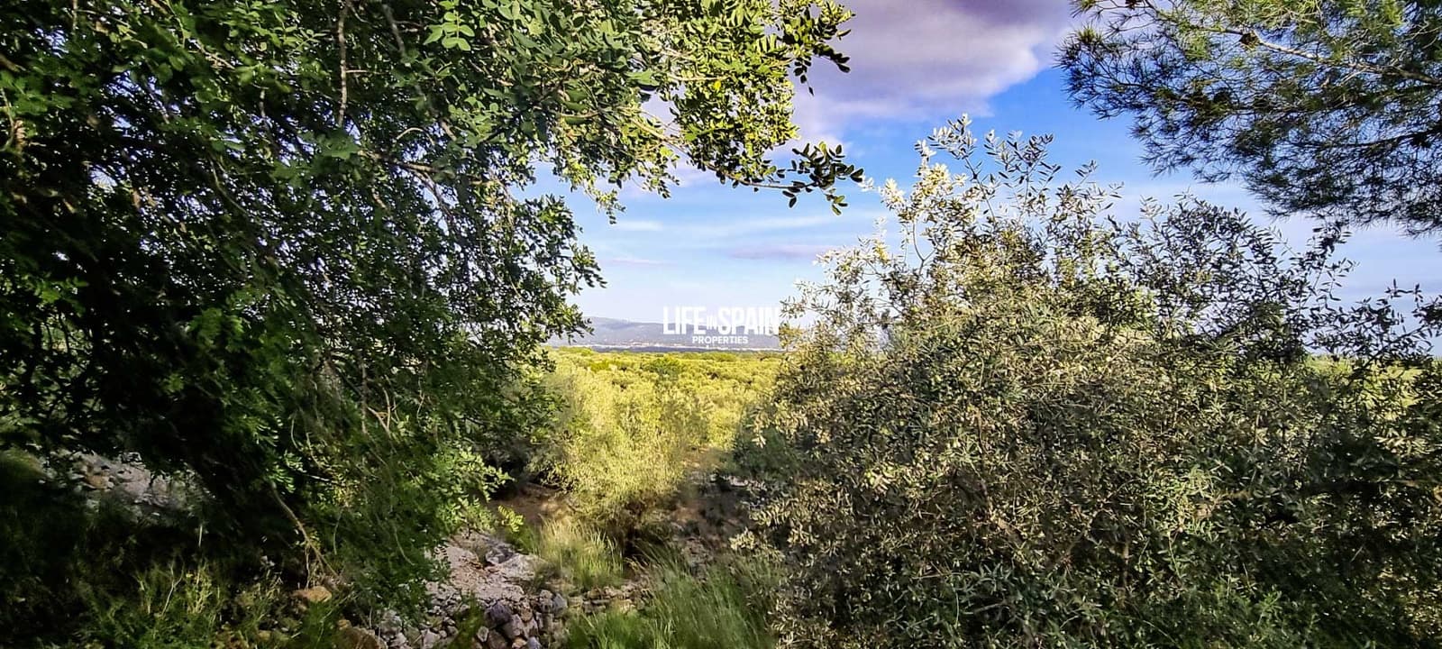 Finca/Landehus til salg i Roquetes - € 36.000 (Ref: 9348780)