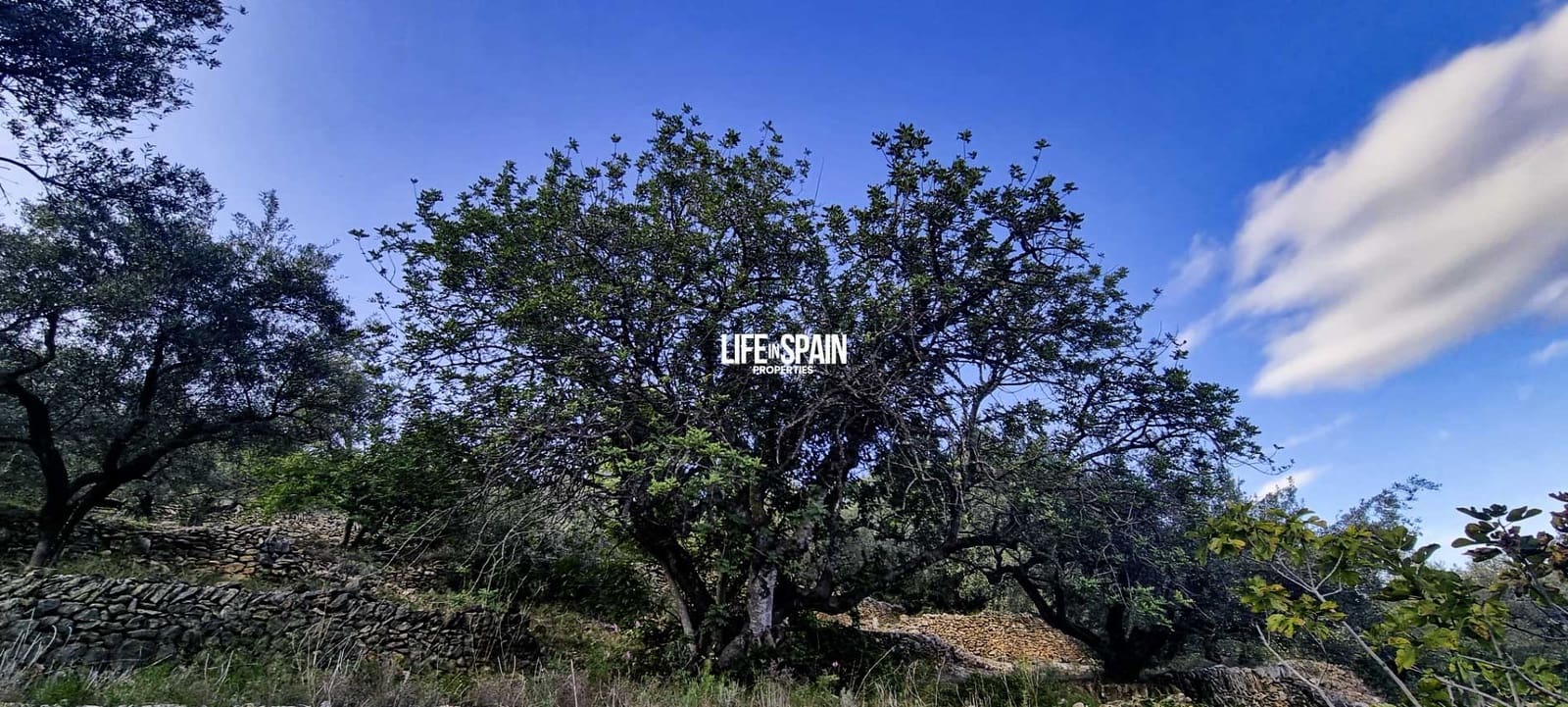 Finca/Landehus til salg i Roquetes - € 36.000 (Ref: 9348780)