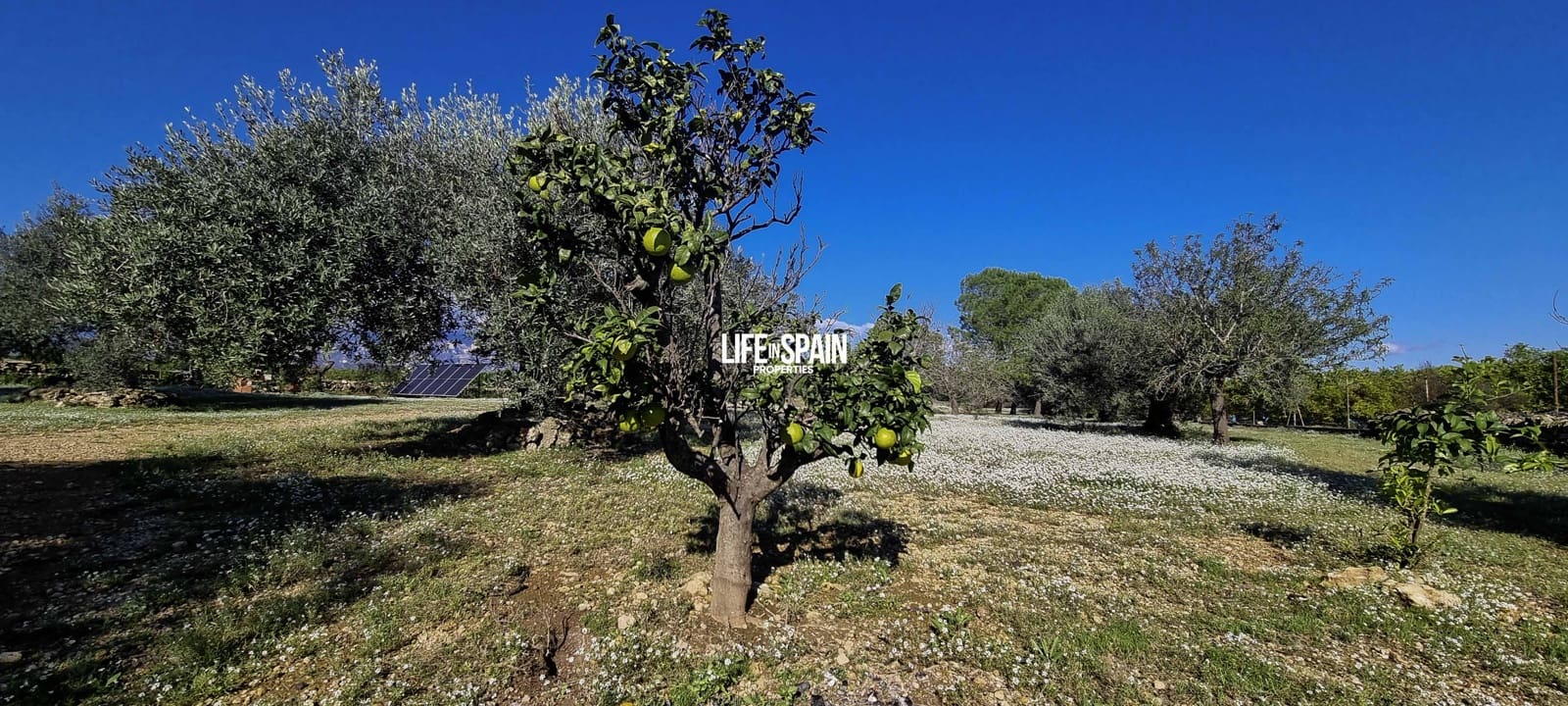 3 quarto Quinta/Casa Rural para venda em Roquetes com garagem - 195 000 € (Ref: 9355350)