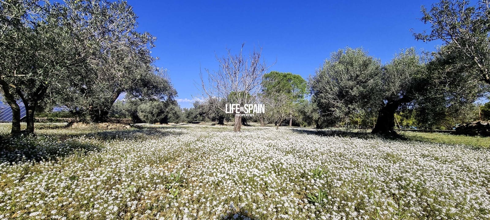 3 quarto Quinta/Casa Rural para venda em Roquetes com garagem - 195 000 € (Ref: 9355350)