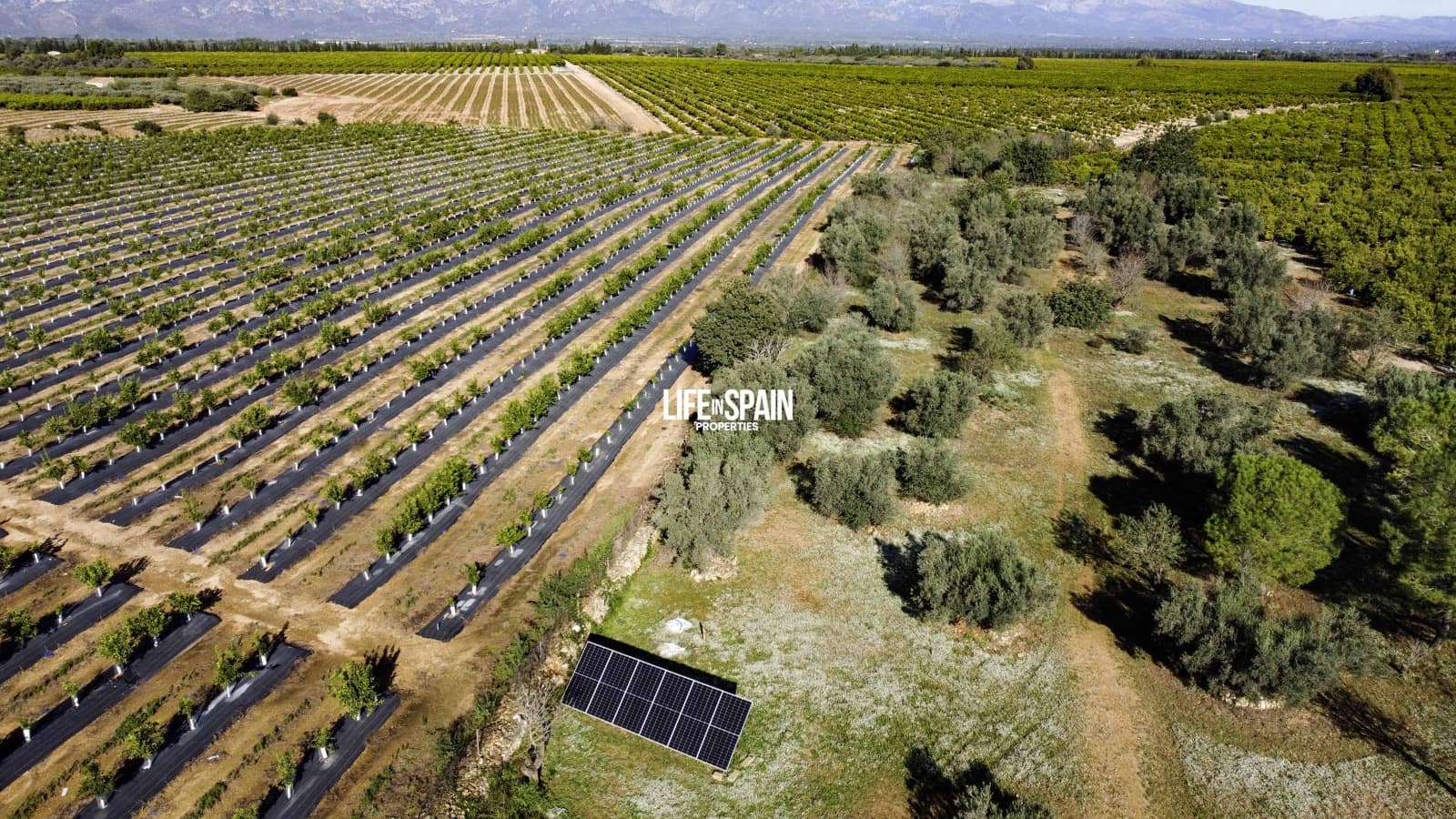 3 quarto Quinta/Casa Rural para venda em Roquetes com garagem - 195 000 € (Ref: 9355350)