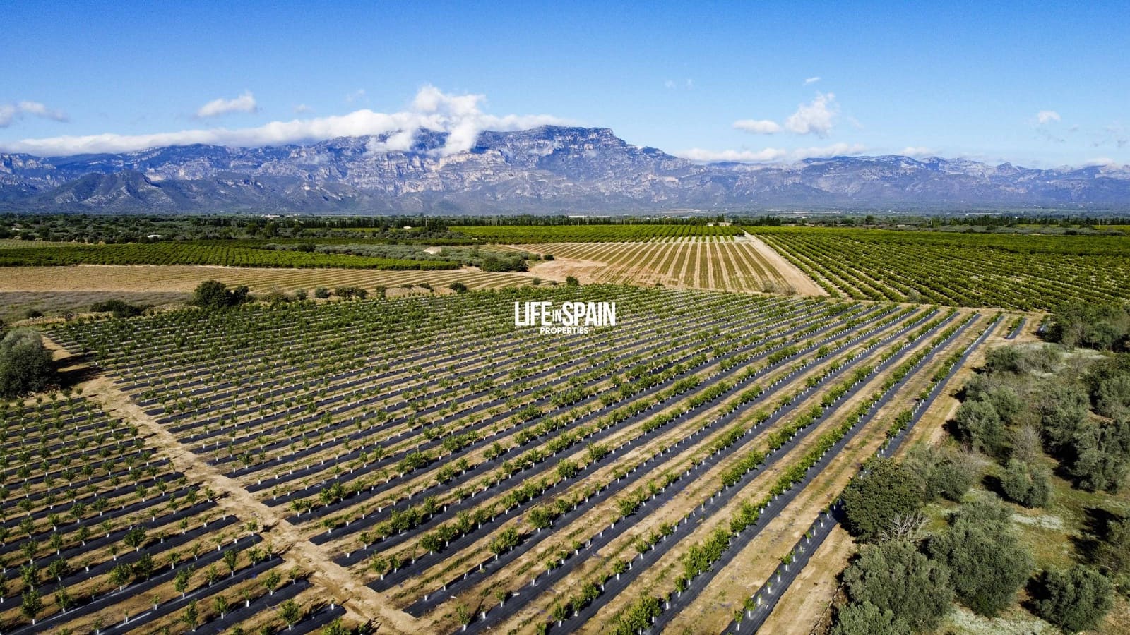 3 quarto Quinta/Casa Rural para venda em Roquetes com garagem - 195 000 € (Ref: 9355350)