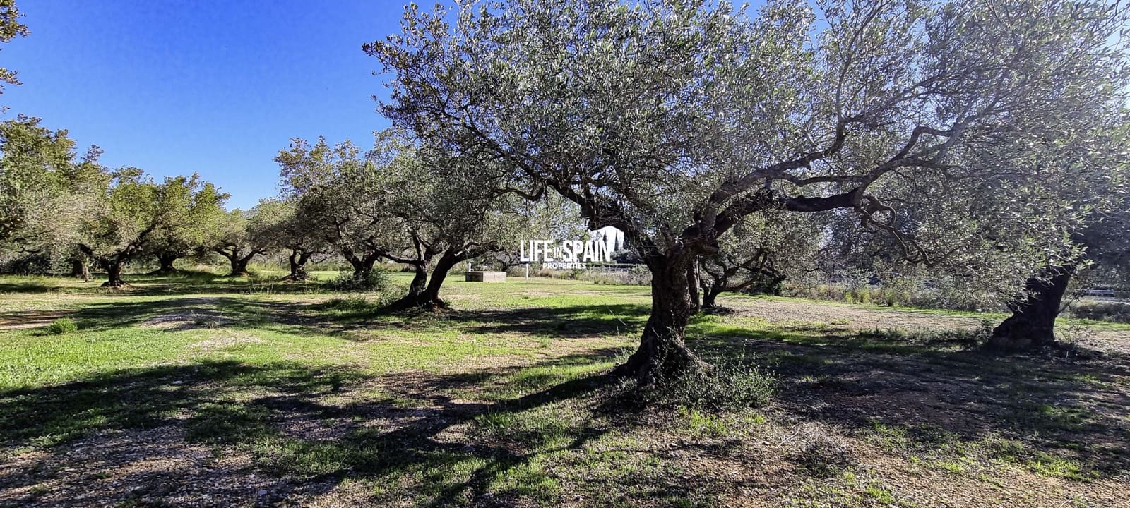 1 sovrum Finca/Hus på landet till salu i Camarles - 86 000 € (Ref: 9357870)